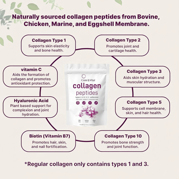 collagen-3.png